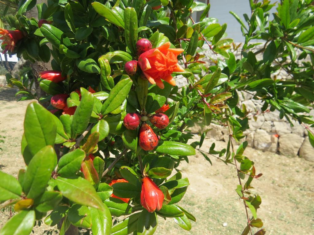 Camping Fiori Di Noto Exterior photo