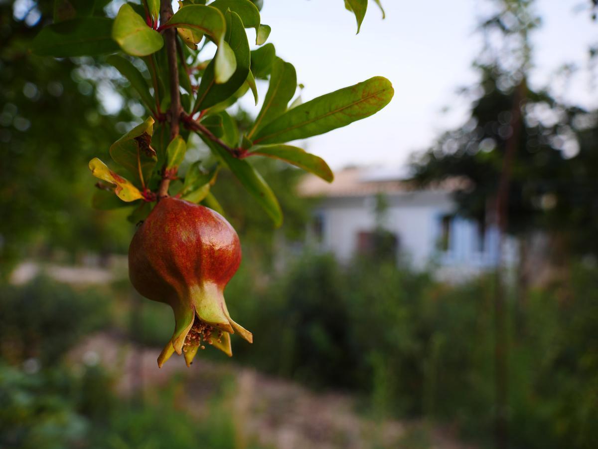 Camping Fiori Di Noto Exterior photo
