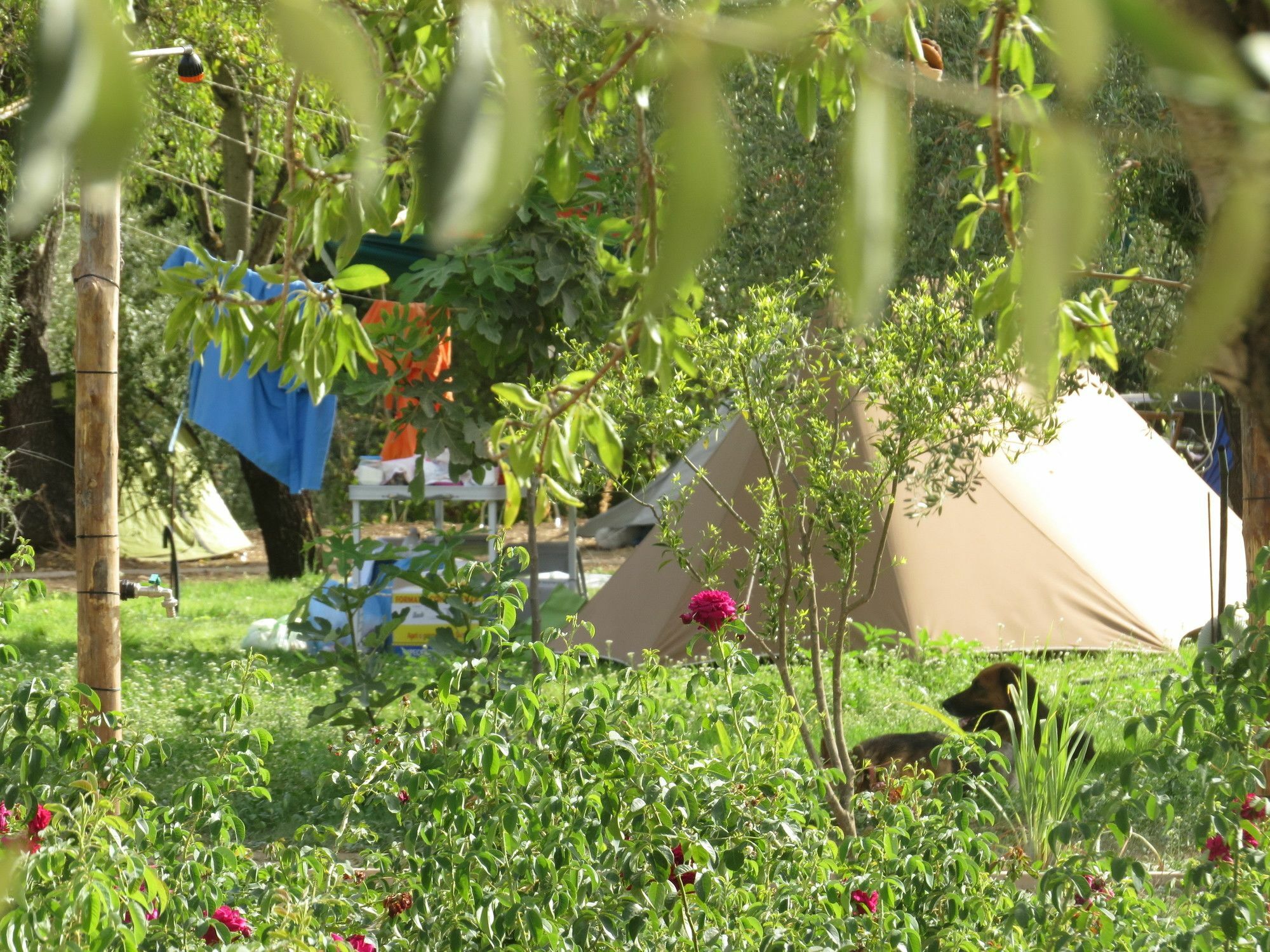 Camping Fiori Di Noto Exterior photo